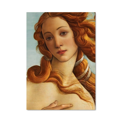 Poster Venus de medici 20218