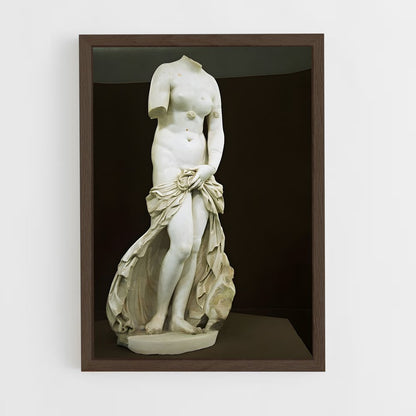 ap-venus pudica-1 cadre Bois foncé
