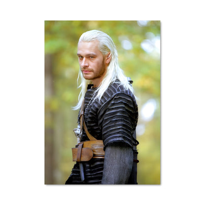 Poster Vesemir kaer morhen 38983