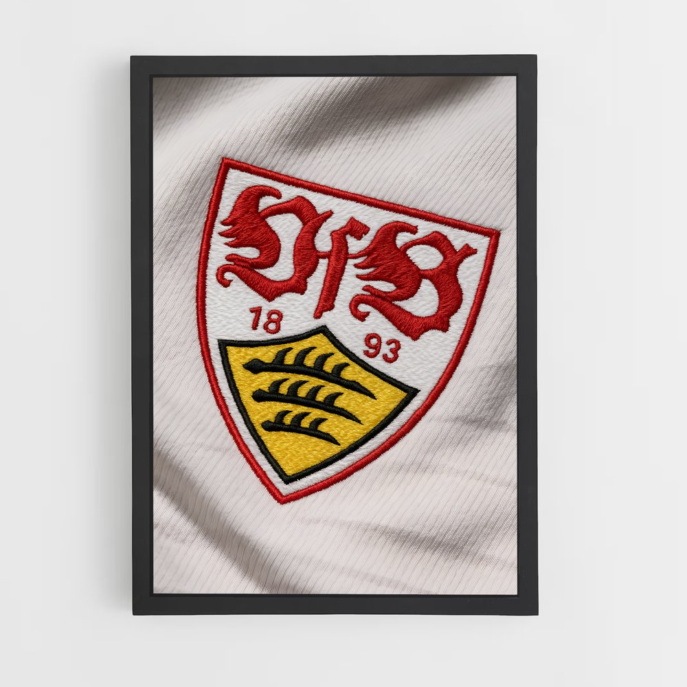 ap-vfb stuttgart-6 cadre Noir