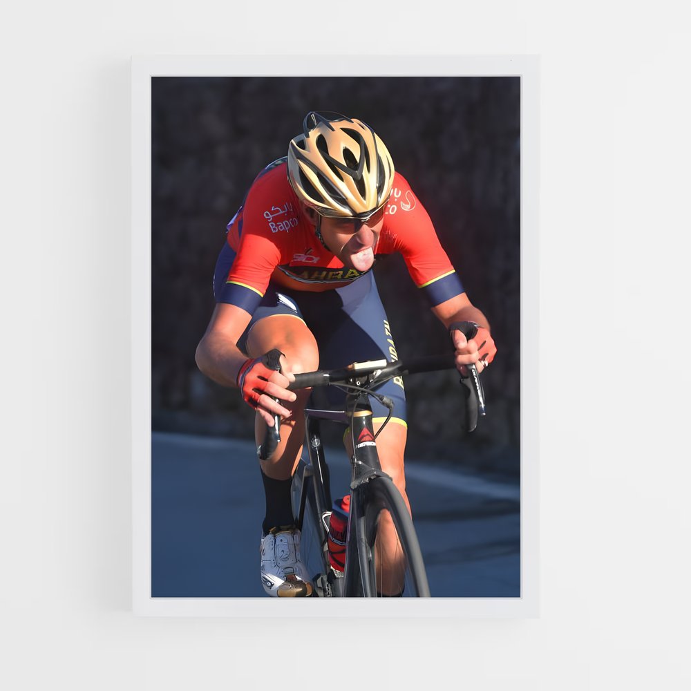 ap-vincenzo nibali-7 cadre Blanc