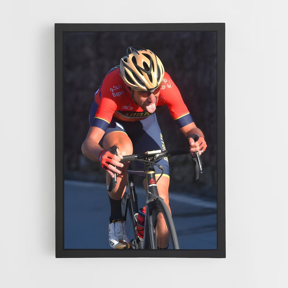 ap-vincenzo nibali-7 cadre Noir