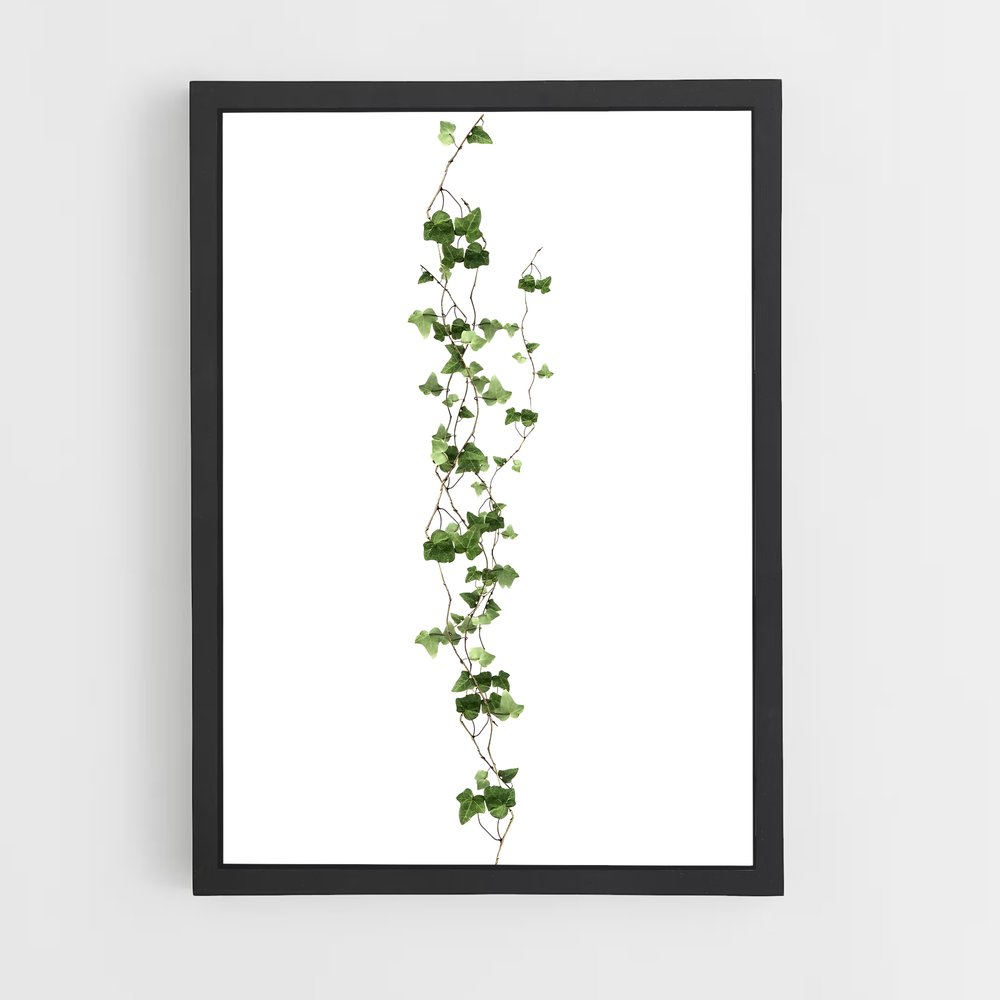 ap-vine-6 cadre Noir