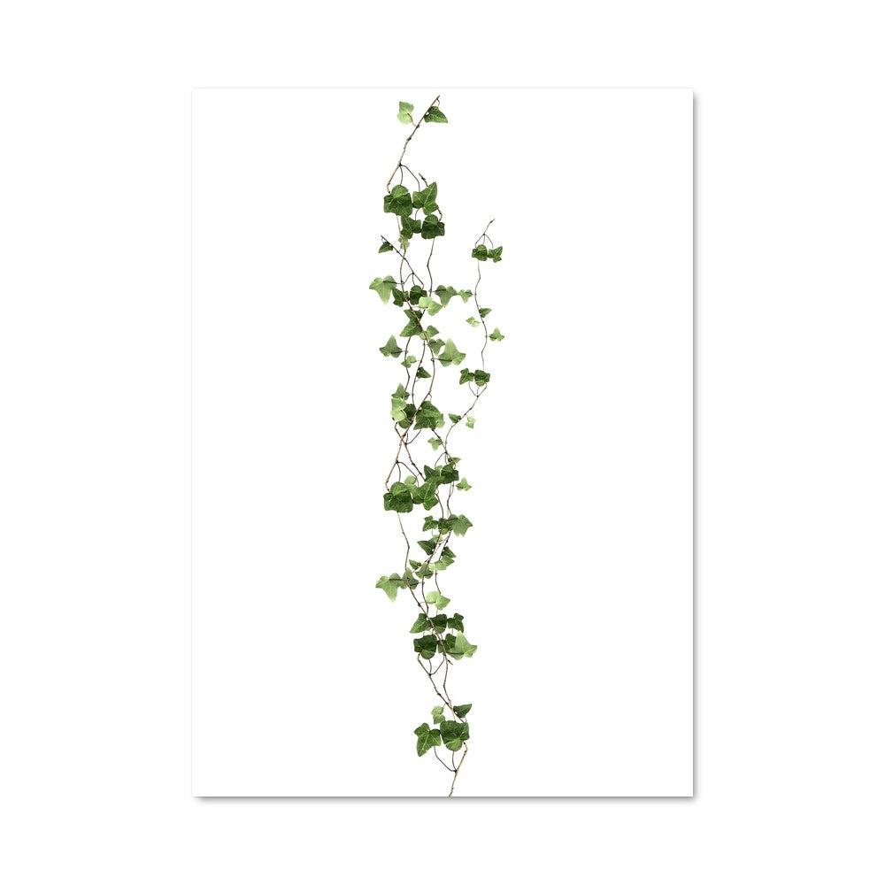 Poster Vigne Élégante