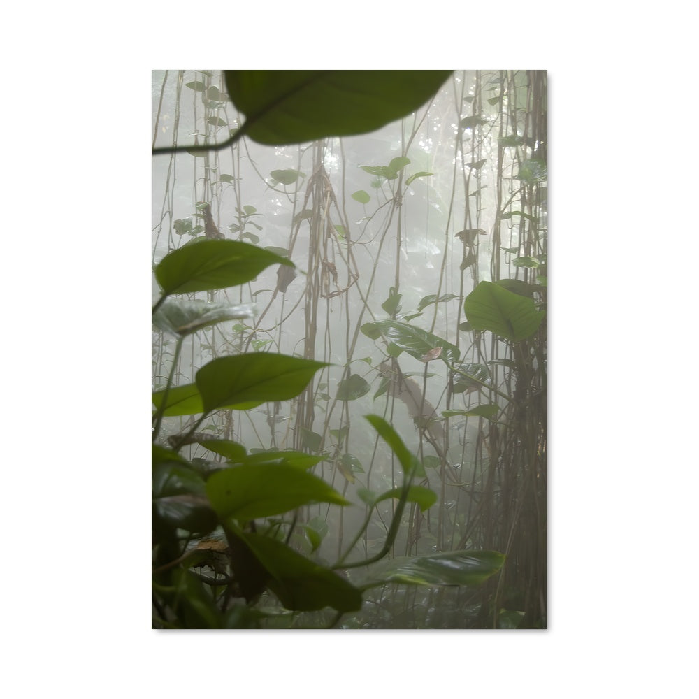 Poster Vine 97059