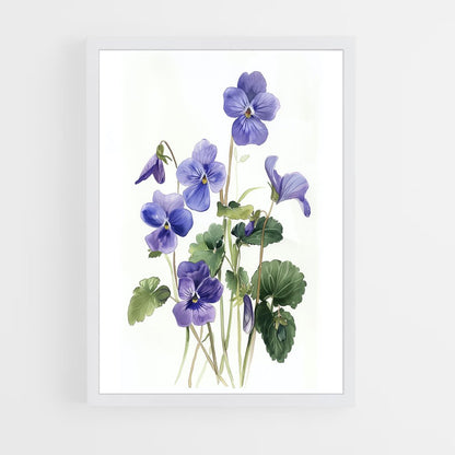ap-violet-10 cadre Blanc