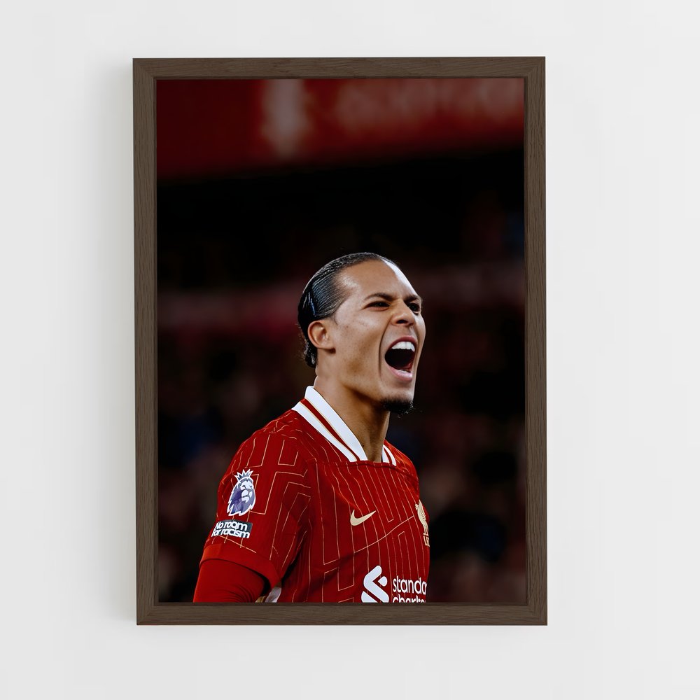 ap-virgil van dijk-1 cadre Bois foncé