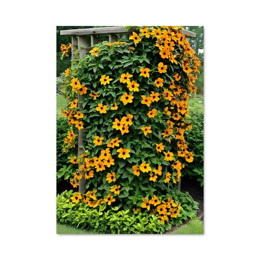 Poster Virginia creeper 97085