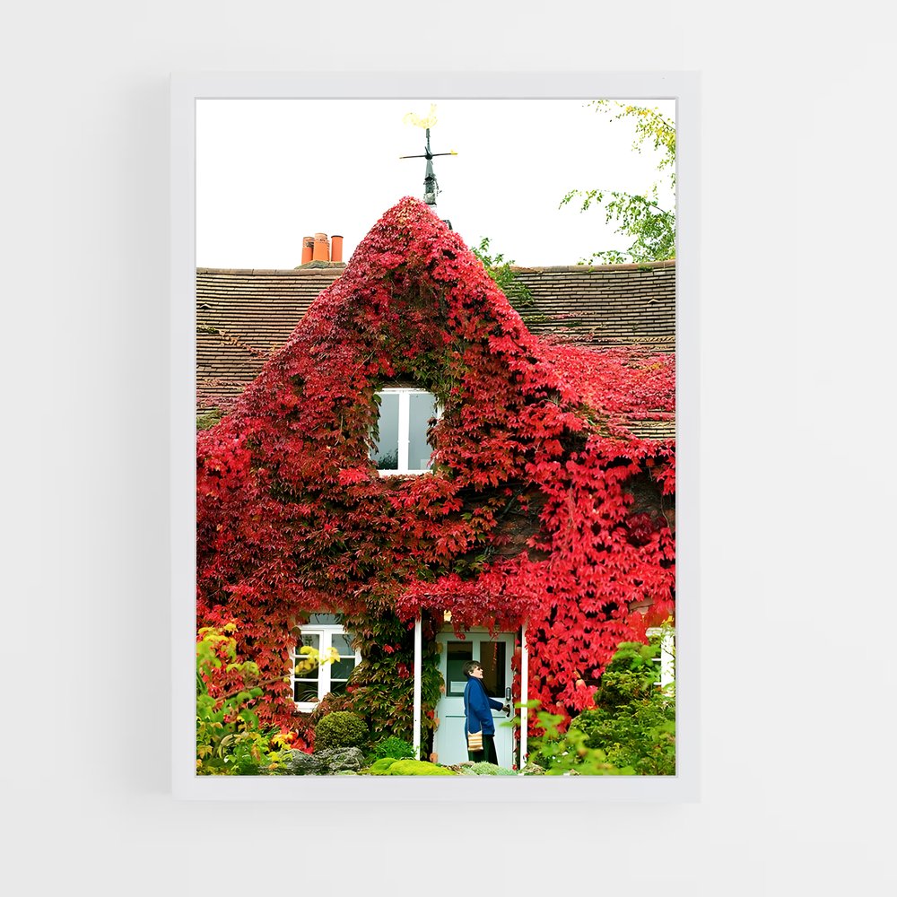 ap-virginia creeper-2 cadre Blanc