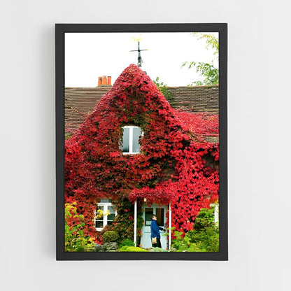 ap-virginia creeper-2 cadre Noir