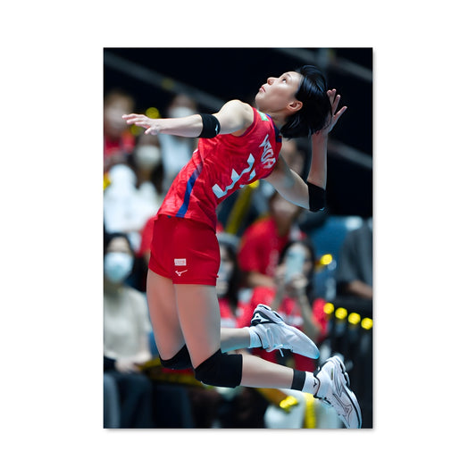Poster Volleyball nations league 75058