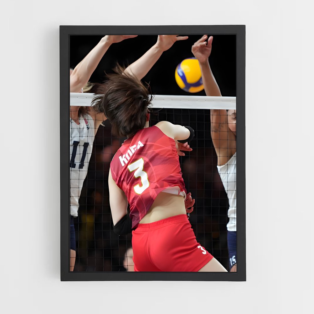 ap-volleyball nations league-2 cadre Noir