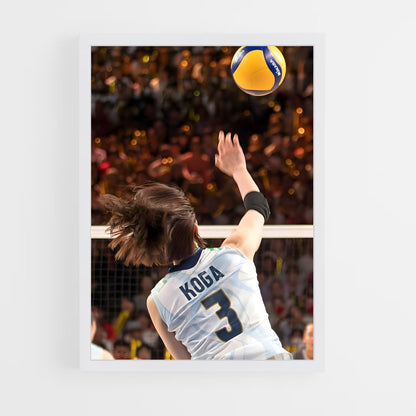 ap-volleyball nations league-3 cadre Blanc