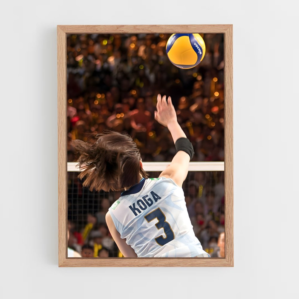 ap-volleyball nations league-3 cadre Bois clair