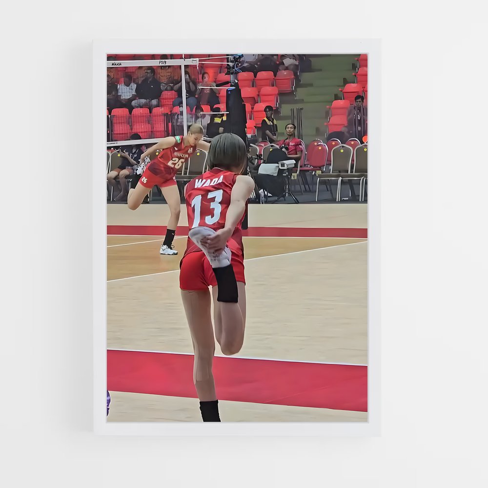 ap-volleyball world championships-1 cadre Blanc