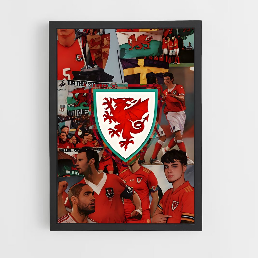 ap-wales national football team-3 cadre Noir