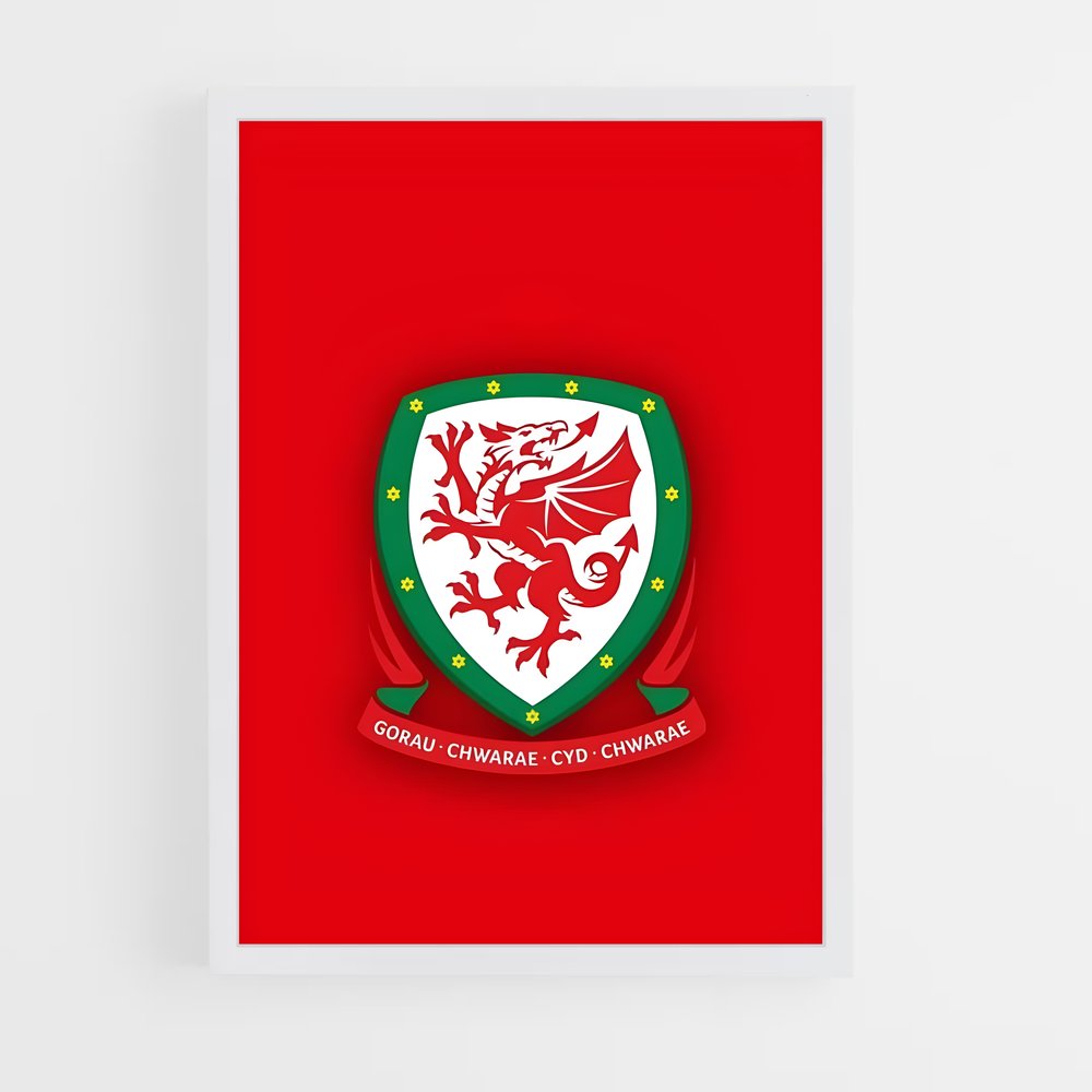 ap-wales national football team-6 cadre Blanc