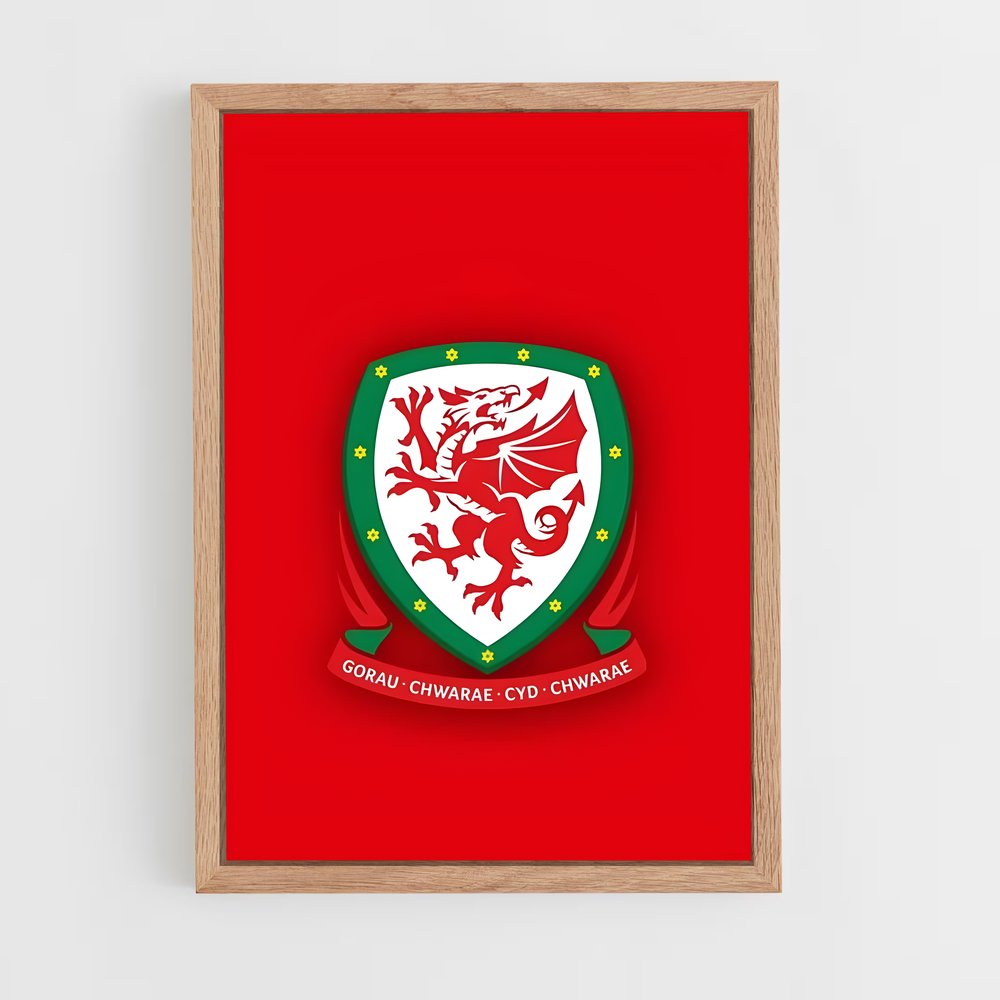 ap-wales national football team-6 cadre Bois clair