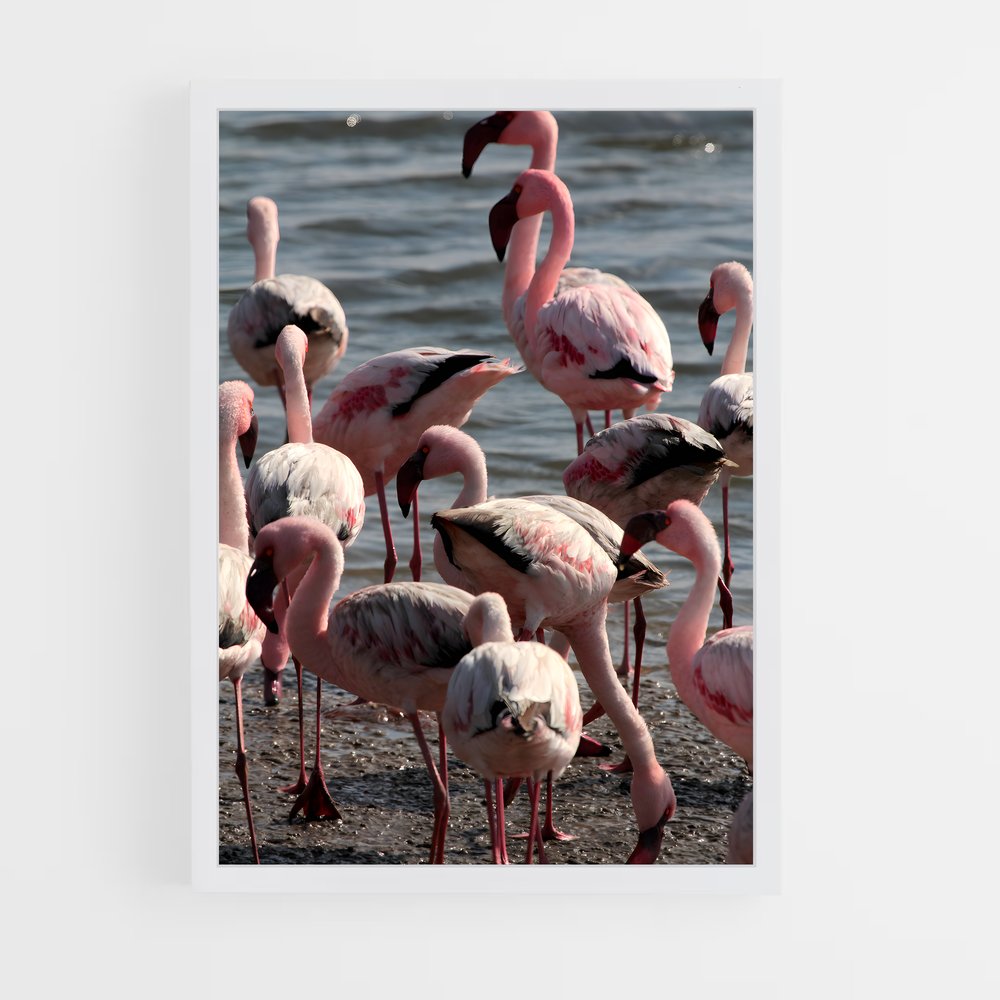 ap-walvis bay-4 cadre Blanc