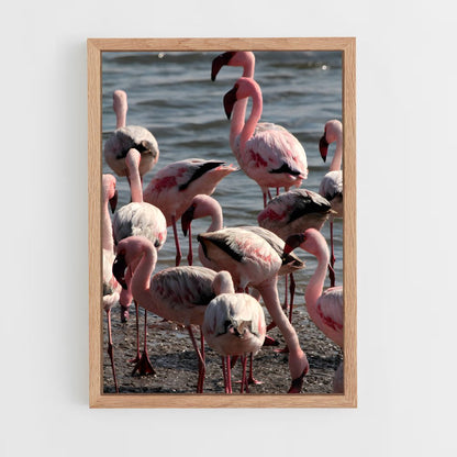 ap-walvis bay-4 cadre Bois clair