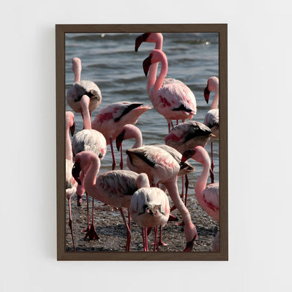 ap-walvis bay-4 cadre Bois foncé