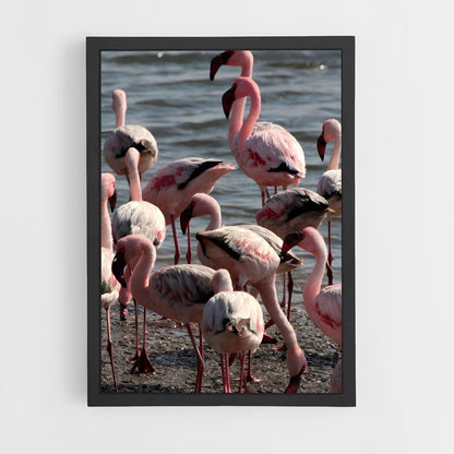 ap-walvis bay-4 cadre Noir
