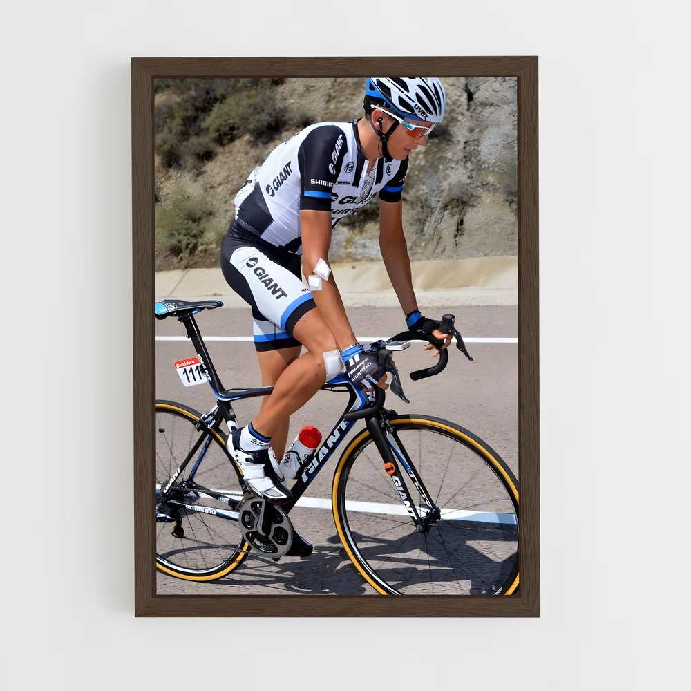 ap-warren barguil-8 cadre Bois foncé