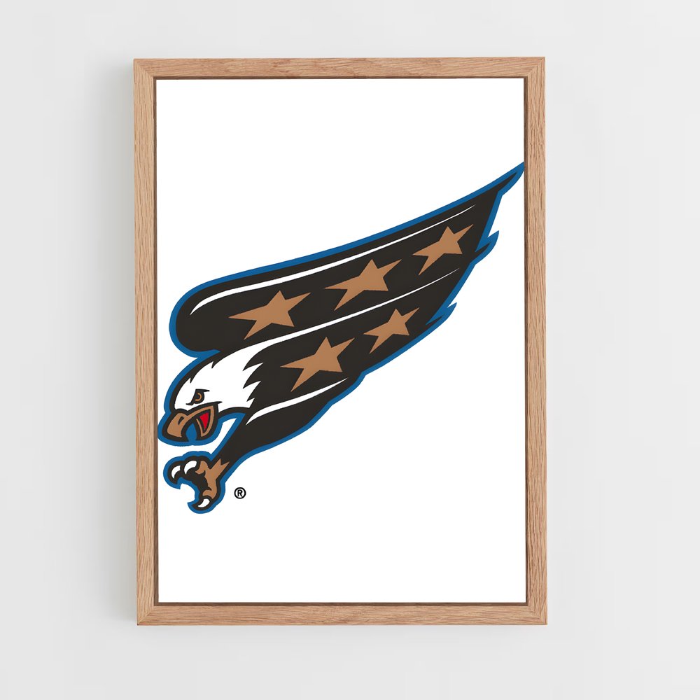ap-washington capitals-4 cadre Bois clair