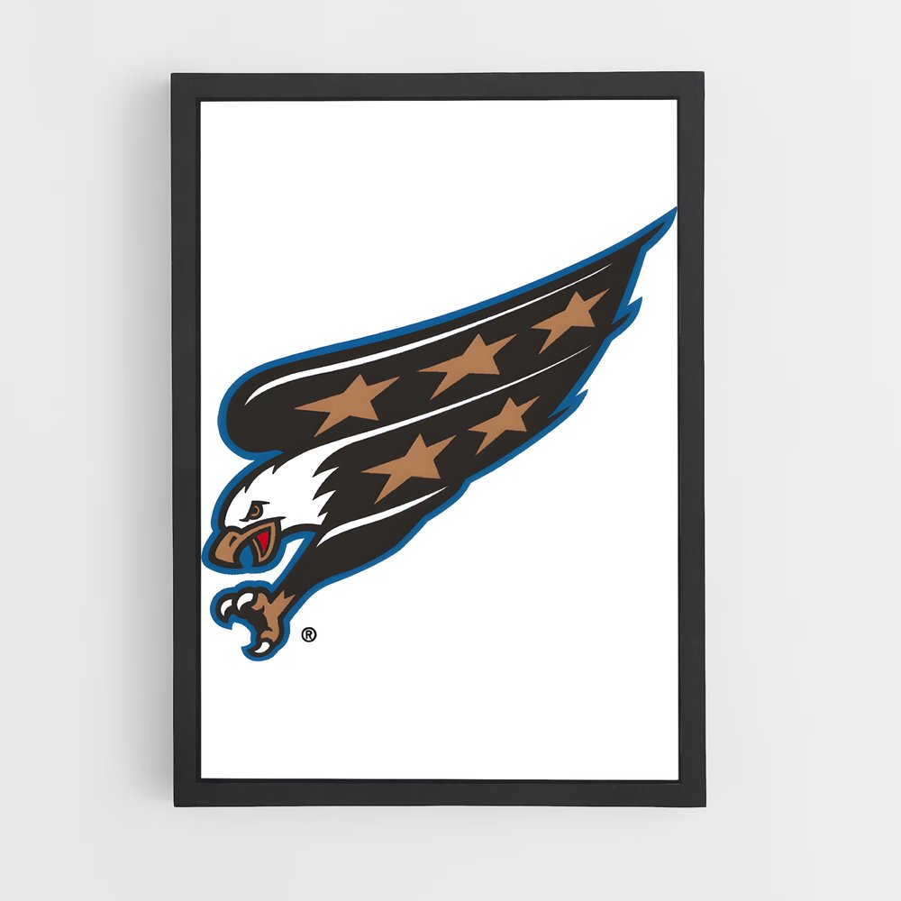 ap-washington capitals-4 cadre Noir