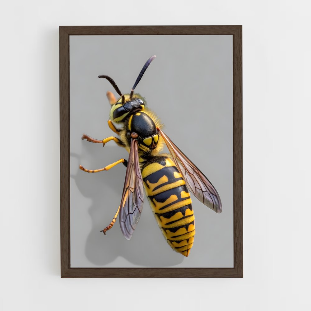 ap-wasp-17 cadre Bois foncé