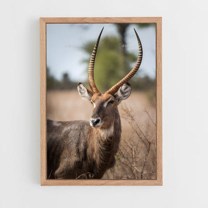 ap-waterbuck-1 cadre Bois clair