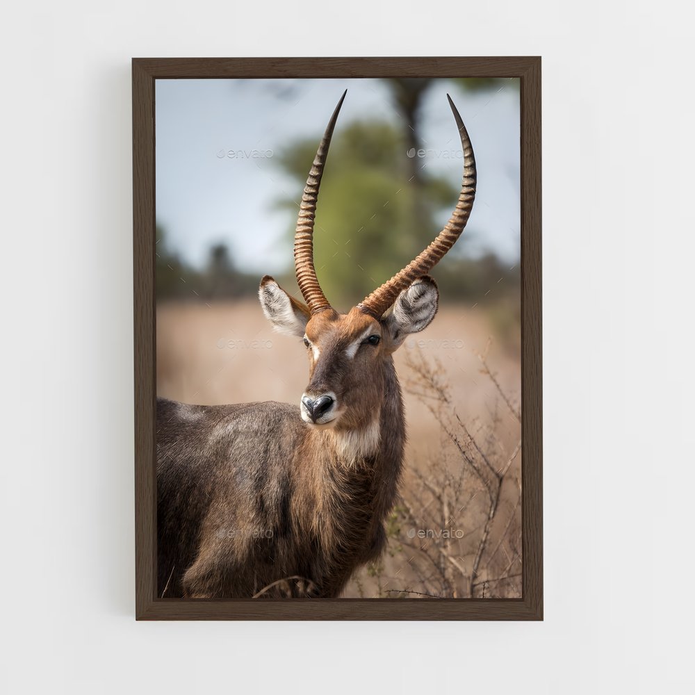 ap-waterbuck-1 cadre Bois foncé