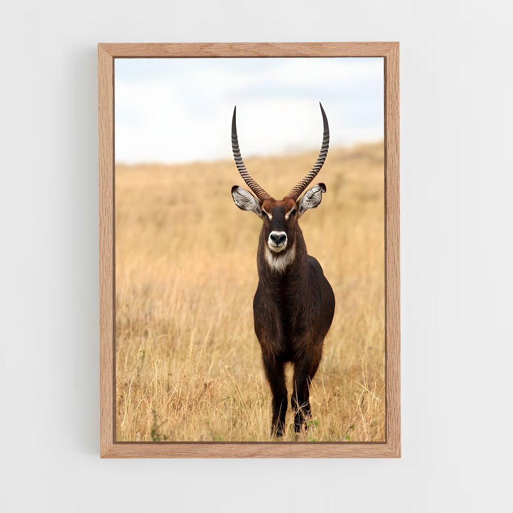 ap-waterbuck-2 cadre Bois clair