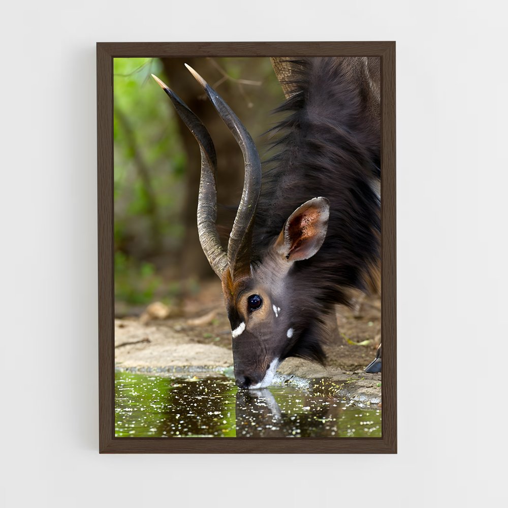 ap-waterbuck-3 cadre Bois foncé