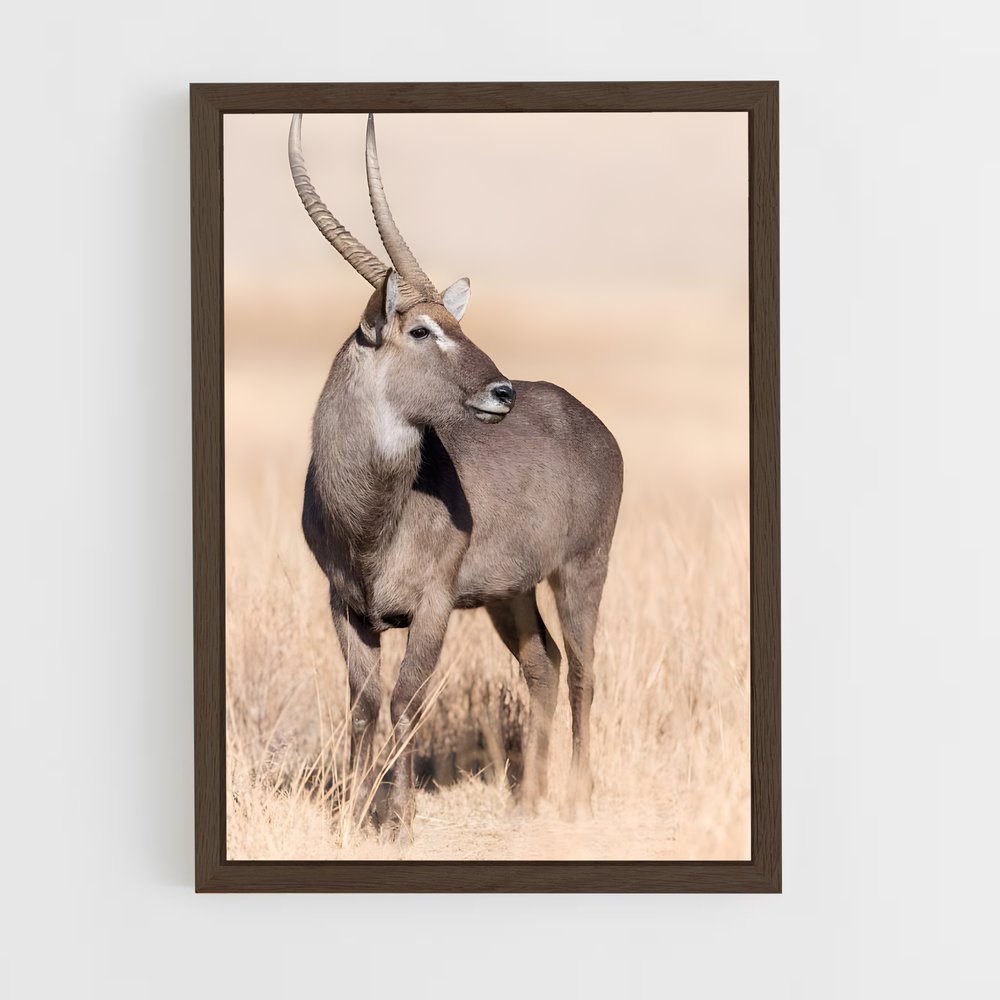 ap-waterbuck-5 cadre Bois foncé