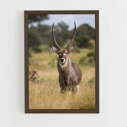ap-waterbuck-6 cadre Bois foncé