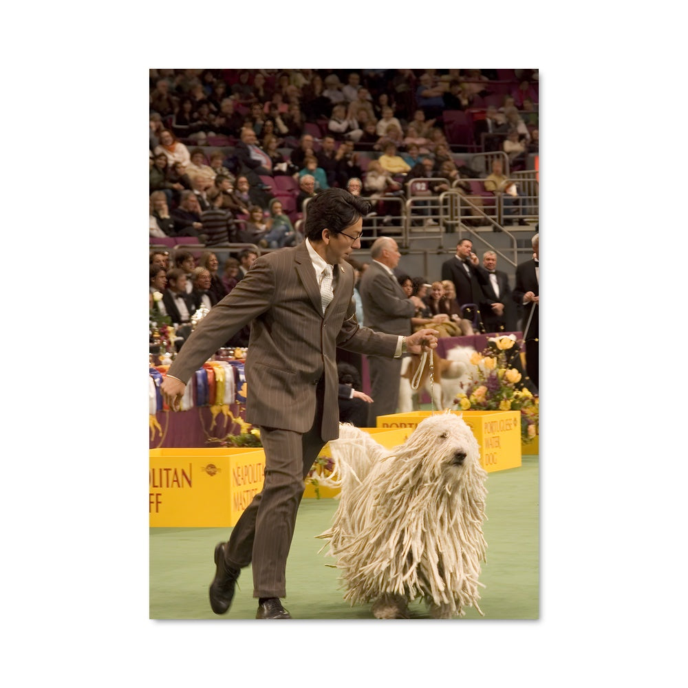 Poster Canin Élégance