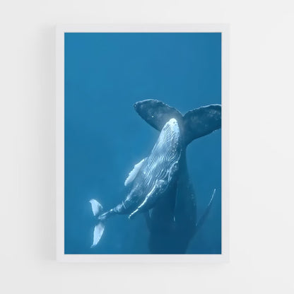 ap-whale-1 cadre Blanc
