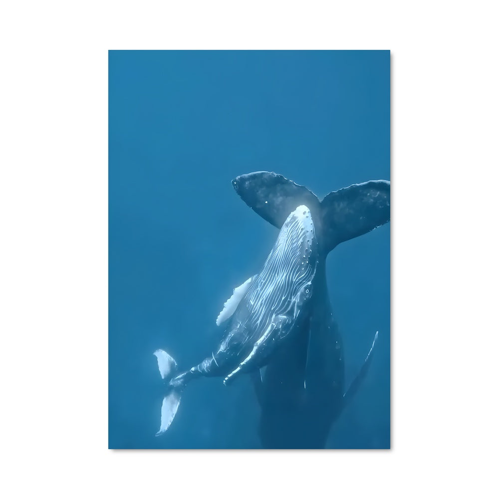 Poster Chant des Mers