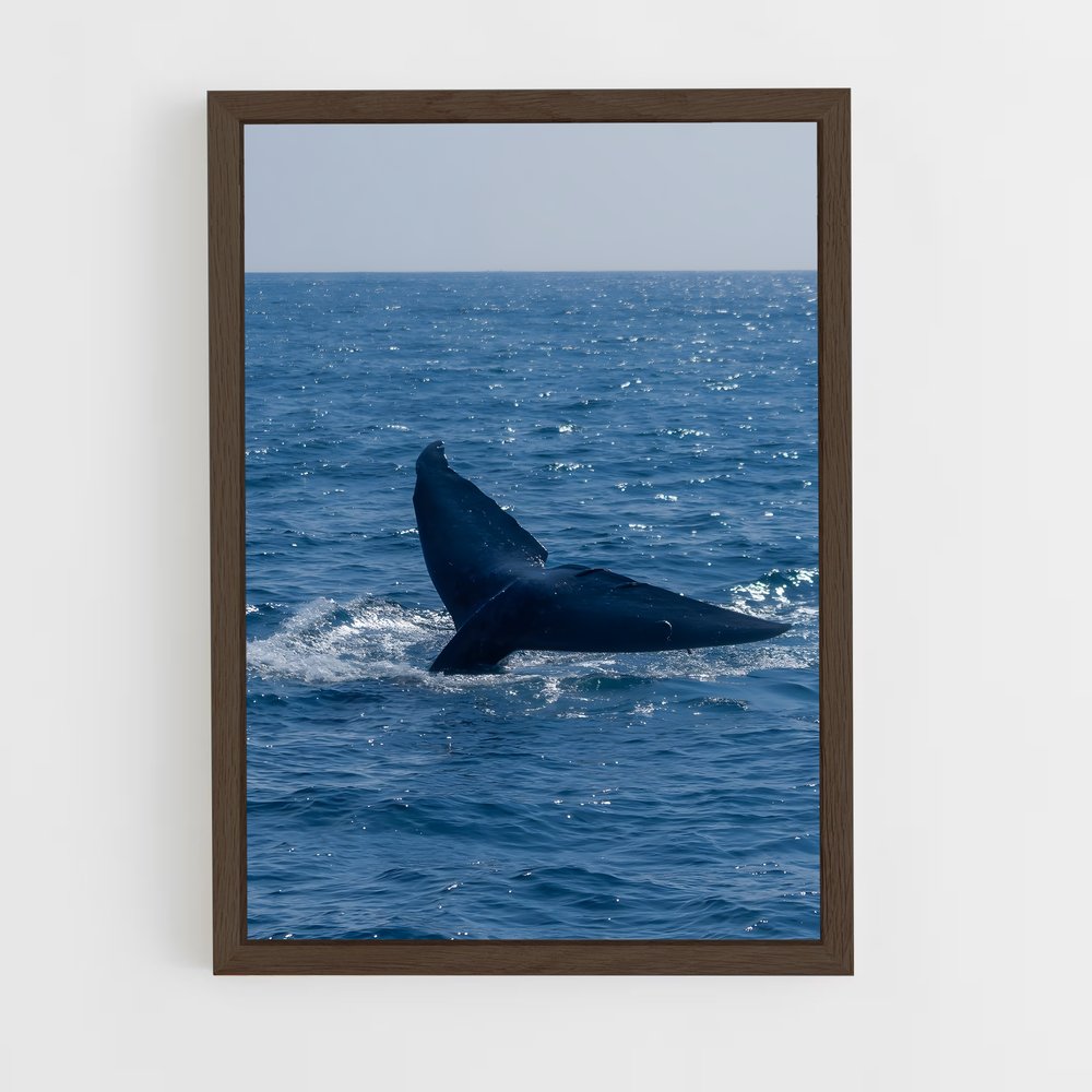 ap-whale-3 cadre Bois foncé
