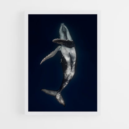 ap-whale-4 cadre Blanc
