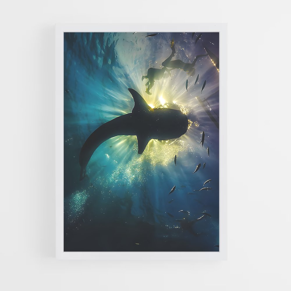 ap-whale shark-1 cadre Blanc