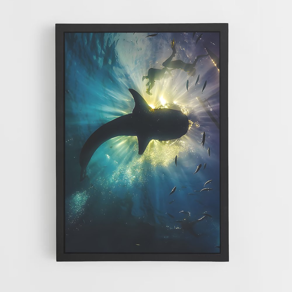 ap-whale shark-1 cadre Noir