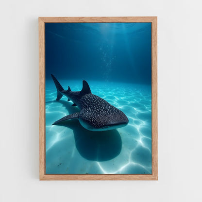 ap-whale shark-2 cadre Bois clair