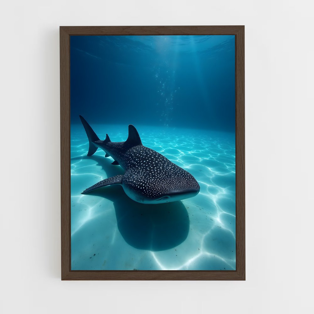 ap-whale shark-2 cadre Bois foncé