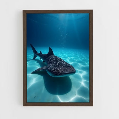 ap-whale shark-2 cadre Bois foncé