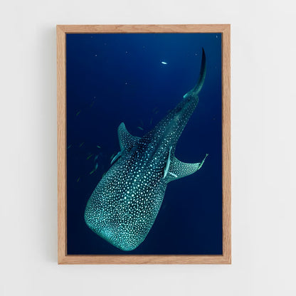 ap-whale shark-3 cadre Bois clair