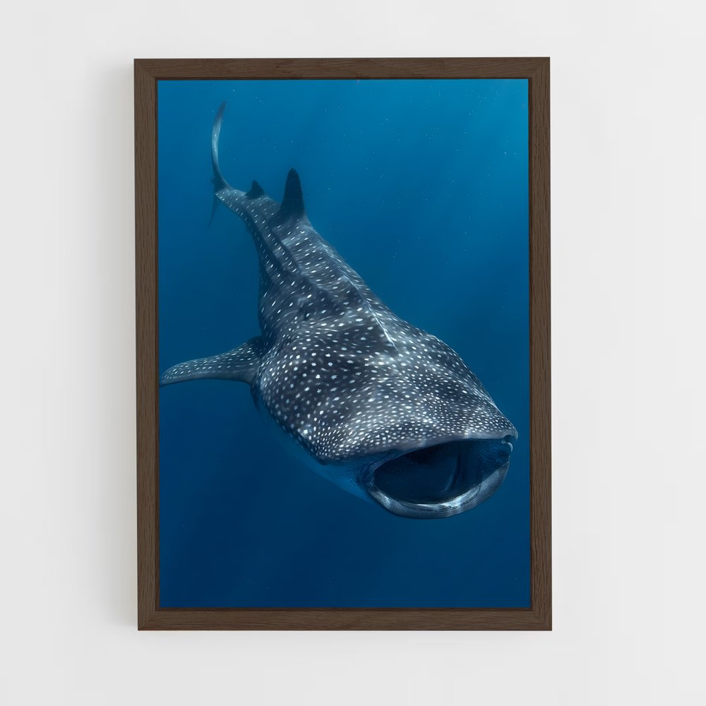 ap-whale shark-4 cadre Bois foncé