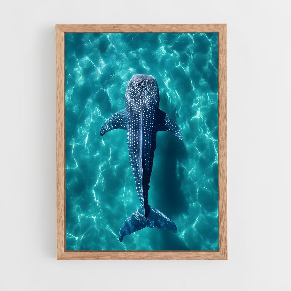 ap-whale shark-5 cadre Bois clair