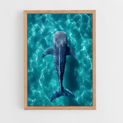 ap-whale shark-5 cadre Bois clair
